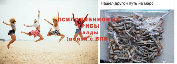 СК Алексин