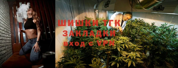 СК Алексин