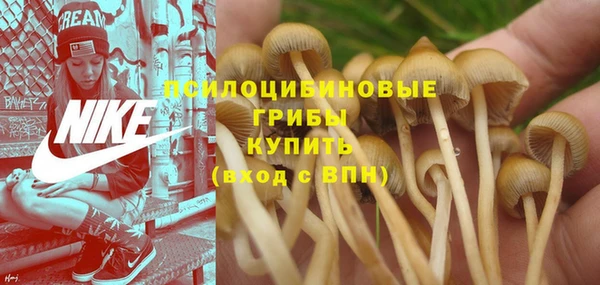 прущая мука Алзамай