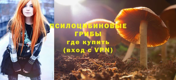 СК Алексин