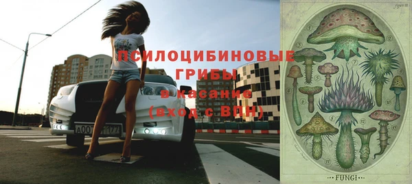 прущая мука Алзамай