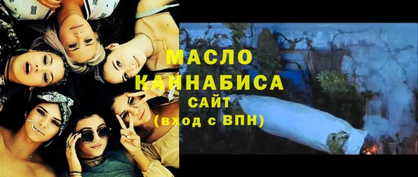 СК Алексин