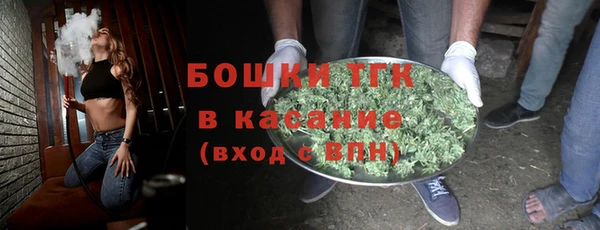 СК Алексин