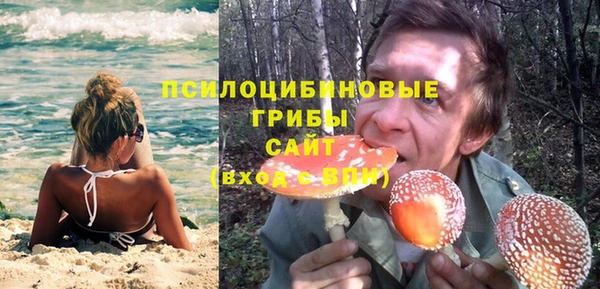 СК Алексин