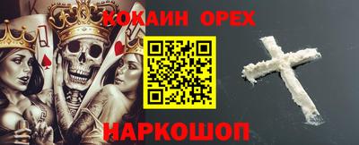 apvp Бердск