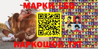 apvp Бердск