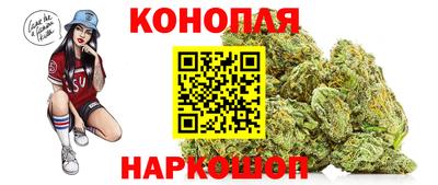 apvp Бердск