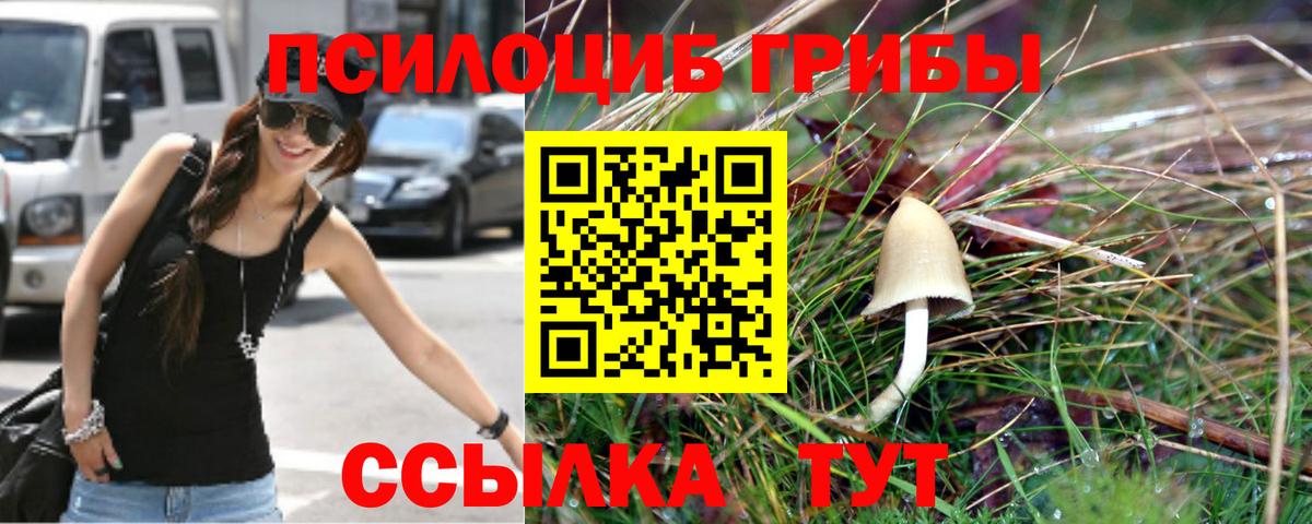 Псилоцибиновые грибы Psilocybine cubensis  Галлюциногенные грибы Psilocybe  Большой Камень  Вход с VPN 