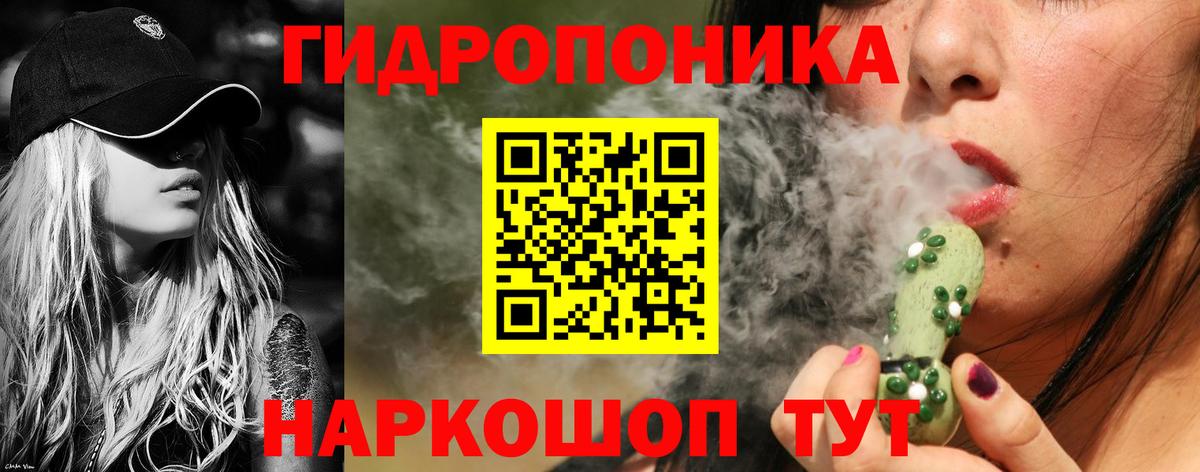 Шишки марихуана план Большой Камень